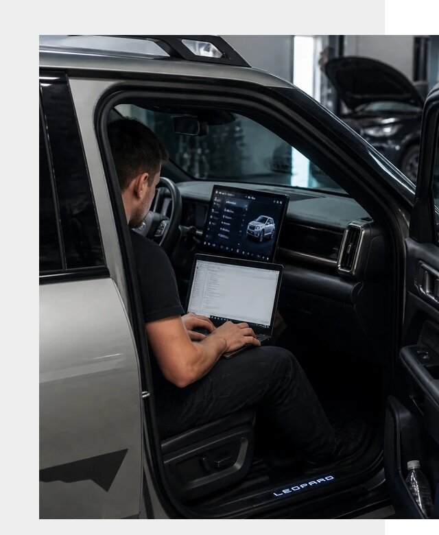 Русификация BYD Leopard 3 в Назрани по цене от 20441 р. | ФастМобиль-Нзр